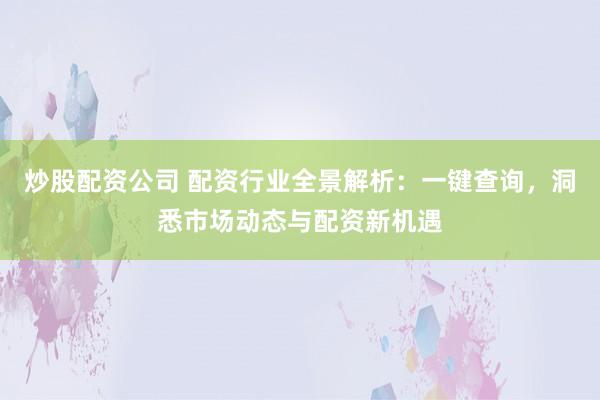 炒股配资公司 配资行业全景解析：一键查询，洞悉市场动态与配资新机遇
