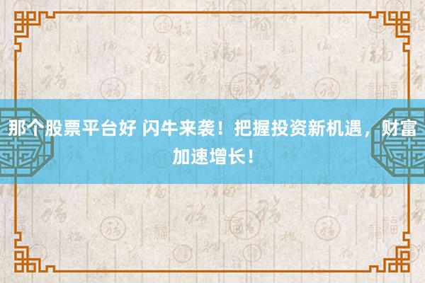 那个股票平台好 闪牛来袭！把握投资新机遇，财富加速增长！