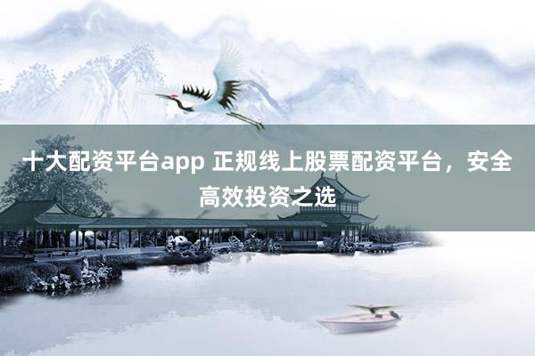十大配资平台app 正规线上股票配资平台，安全高效投资之选