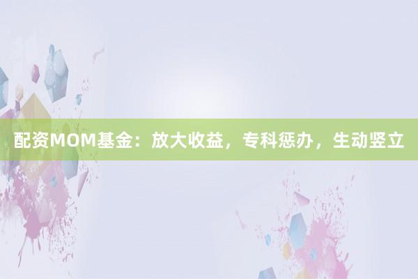 配资MOM基金：放大收益，专科惩办，生动竖立