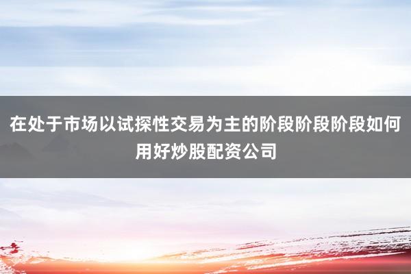 在处于市场以试探性交易为主的阶段阶段阶段如何用好炒股配资公司
