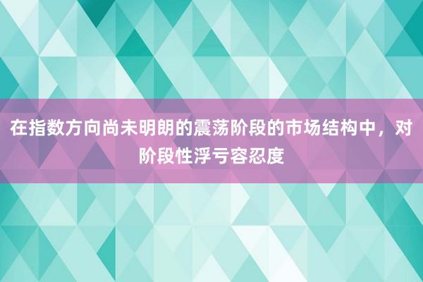 在指数方向尚未明朗的震荡阶段的市场结构中，对阶段性浮亏容忍度