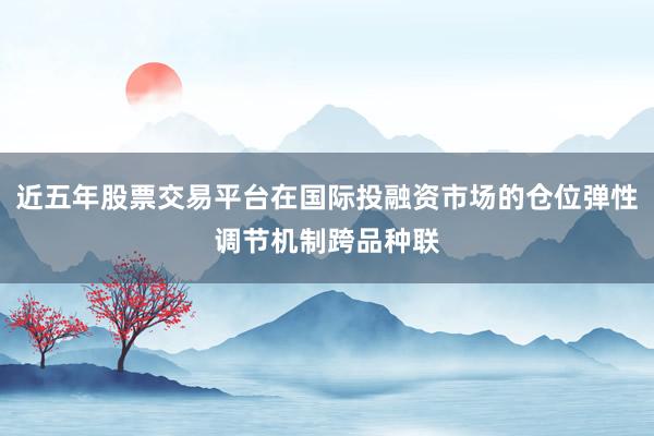 近五年股票交易平台在国际投融资市场的仓位弹性调节机制跨品种联