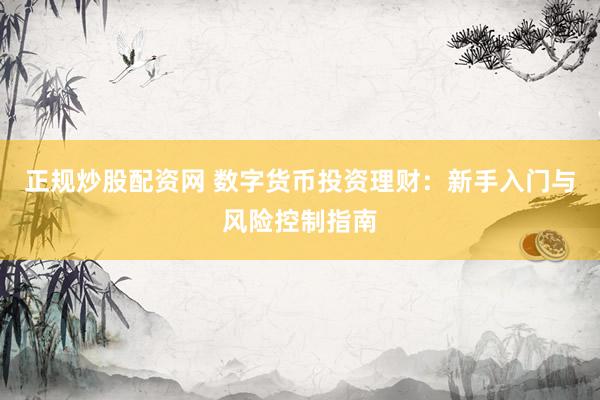 正规炒股配资网 数字货币投资理财：新手入门与风险控制指南